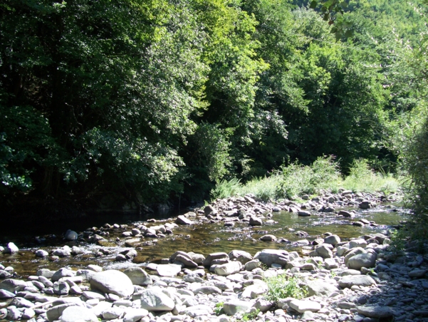  Image name: Fiume27.jpg 
 width: 601 pixel 
 height: 452 pixel 
 Size: 344543 bytes 
 Click to enlarge 